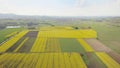 Rapeseed fields from the height of bird flight. Shooting from the drone or aircraft. Agricultural business. Growing oil plants for