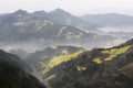 Rapeseed flower blossom in Chinese mountains