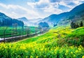 Rapeseed Flower Sea and Karst Landform