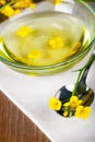 Rapeseed Oil Royalty Free Stock Photo