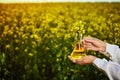 Rapeseed oil bottle in hand of an agronomist or biologist on background rape field Royalty Free Stock Photo