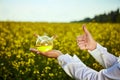 Rapeseed oil bottle in hand of an agronomist or biologist on background rape field Royalty Free Stock Photo