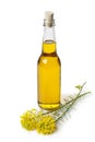 Rapeseed oil in a bottle Royalty Free Stock Photo