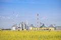 Rapeseed oil factory producing biodiesel. Royalty Free Stock Photo