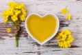 Rapeseed oil and flower. Royalty Free Stock Photo