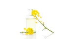 Rapeseed oil and flower. Royalty Free Stock Photo