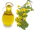 Rapeseed oil in a glass bottle Royalty Free Stock Photo
