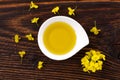 Healthy Rapeseed oil Royalty Free Stock Photo