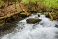 rapid brook among rocks in the natural park