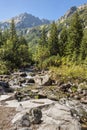 Mountain brook in Tatra Mountains