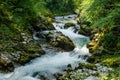 Rapid flow. Radovna River. Vintgar gorge, Slovenia