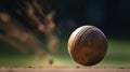 Rapid motion of a cricket ball bowled by a fast bowler mid-flight photography