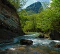 Rapid mountain river Royalty Free Stock Photo