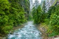 Rapid mountain river flowing in the forest