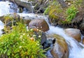 Rapid mountain stream Royalty Free Stock Photo