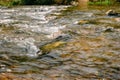 Rapid and powerful water flow between large rocks, close-up. Boulders in cold mountain river. Natural backgrounds Royalty Free Stock Photo