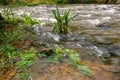 Rapid and powerful water flow between large rocks, close-up. Boulders in cold mountain river. Natural backgrounds Royalty Free Stock Photo