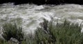 River stream in Yellowstone National Park