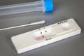 Rapid self test Covid-19 with nose swab, home test kit for coronavirus top view on gray background with copy space negative result