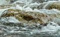 Rapid spring river flowing over rocks forming white water waves, closeup detail - abstract nature background Royalty Free Stock Photo