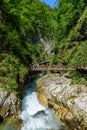 The rapid stream of the Radovna River in the Vintgar Gorge.