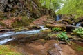 rapid water flow among the forest