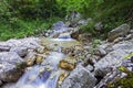 A rapid in a WWF oasi in long exposure Royalty Free Stock Photo