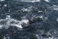 Rapidly flowing river with dark blue water, foam