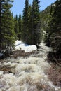 The rapidly flowing waters of Glacier Creek in the forest of the Rocky Mountains National Park, Colorado Royalty Free Stock Photo