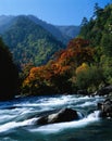 Rapids with Autumn - Hued Trees in Mountain Background Royalty Free Stock Photo
