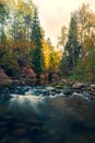 Rapids of a fast river in a national park Royalty Free Stock Photo