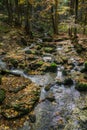 Rapids through forest in autumn Royalty Free Stock Photo