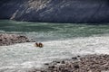 In the rapids of the Ganges Royalty Free Stock Photo