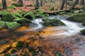 Rapids on Jedlova Brook, Jizera Mountains, Czech Republic Royalty Free Stock Photo