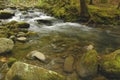 Rapids on Laurel creek, GSMNP