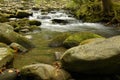 Rapids on Laurel creek, GSMNP