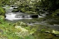 Rapids on Laurel creek, GSMNP