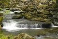 Rapids on Laurel creek, GSMNP