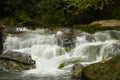 Rapids on Laurel creek, GSMNP