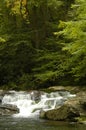 Rapids on Laurel creek, GSMNP