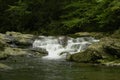 Rapids on Laurel creek, GSMNP