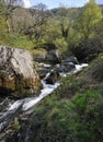 Rapids on the Marteg River Royalty Free Stock Photo