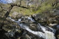 Rapids on the Marteg River Royalty Free Stock Photo