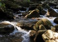 Rapids over Rocks in a River near Hamilton