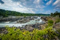 Rapids in the Potomac River at Great Falls, seen from Olmsted Is Royalty Free Stock Photo