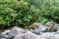 Rapids of Rio Hornito river and a jungle in Pana