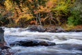 Rapids on a rivver lined with autumn colours Royalty Free Stock Photo