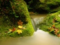 Rapids on small mountain stream between mossy basalt rocks. Blurred water running over stones Royalty Free Stock Photo