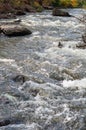 Rapids small river, strong current water flowing among stones, beautiful nature