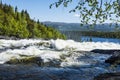 Rapids Tannforsen waterfall Sweden Royalty Free Stock Photo